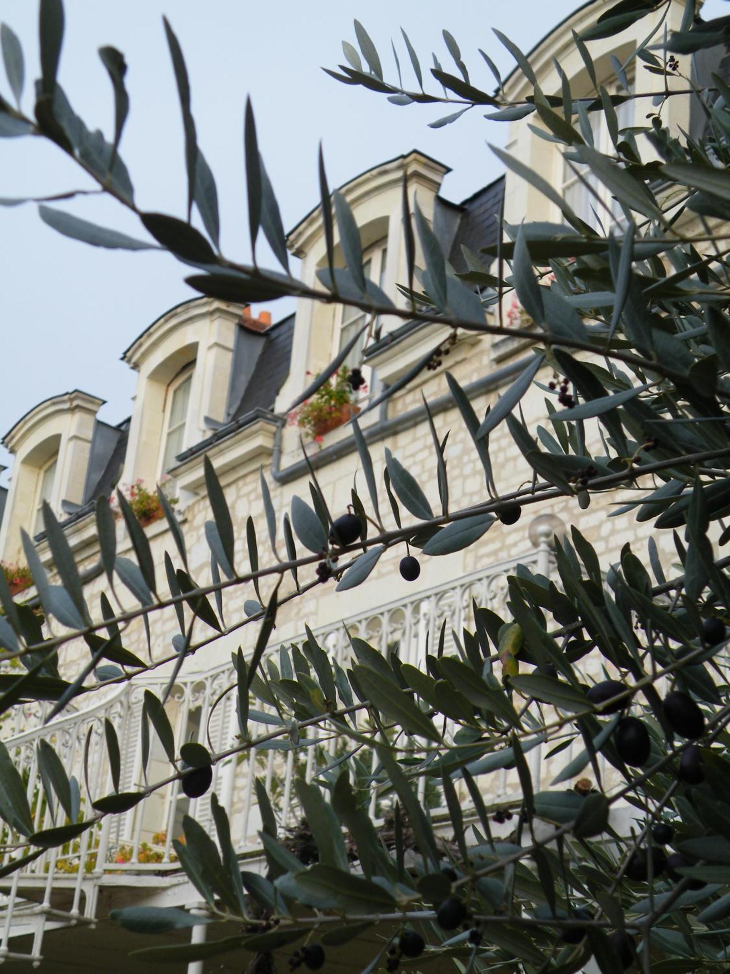 Hotel Diderot Chinon Exterior foto